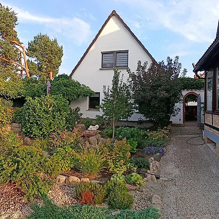 Apartment Blauregen
